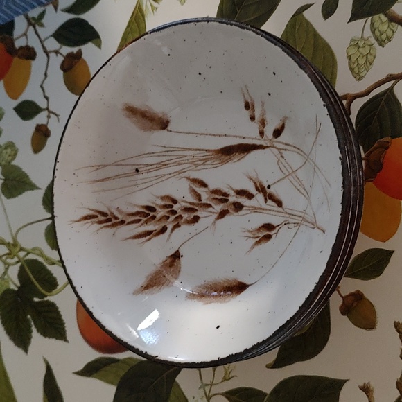 Vintage Wild Oats Stonehenge Midwinter England Stoneware Cereal Bowl Wedgwood - Picture 2 of 10